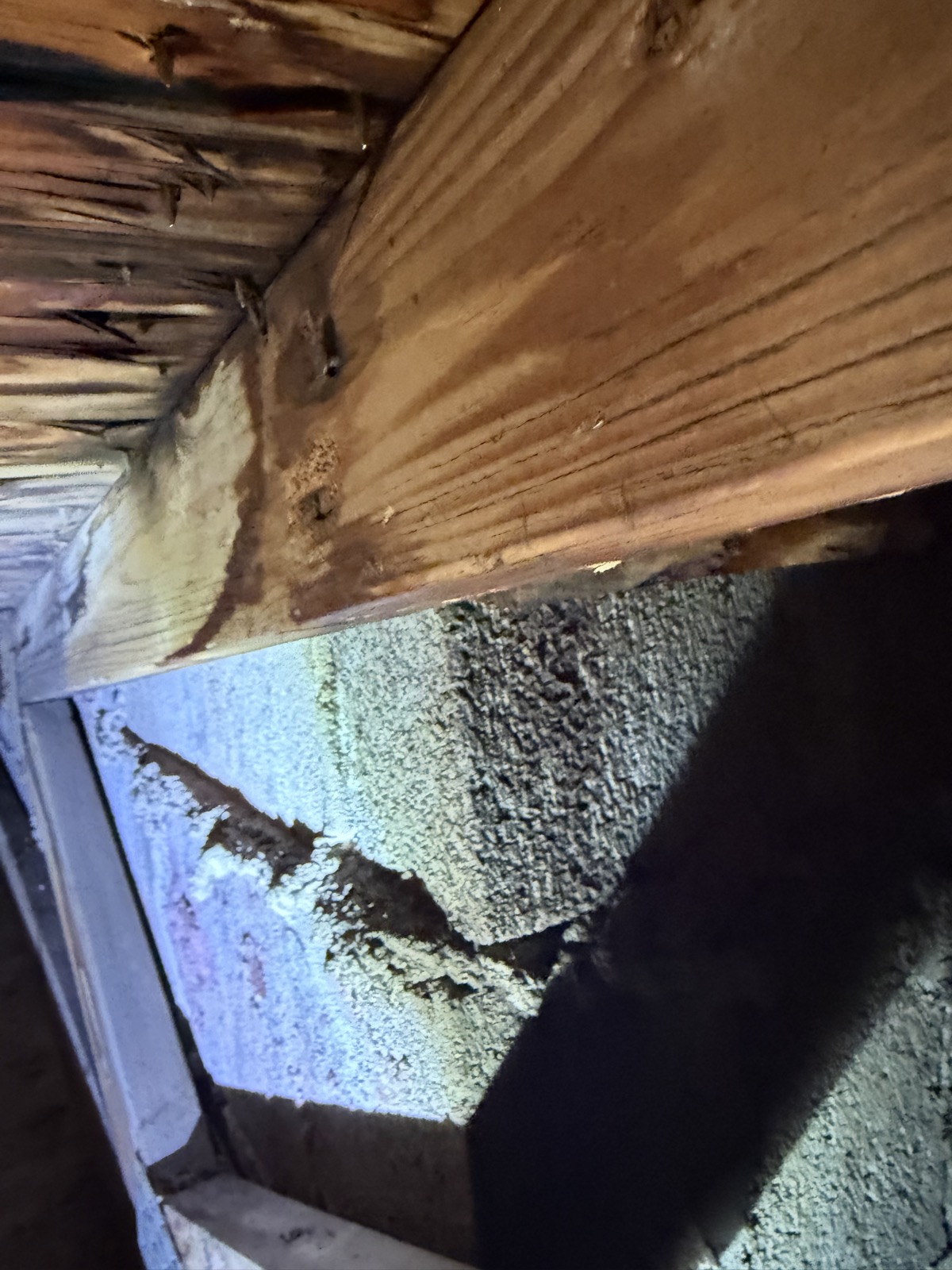 C60A4C16-EF8B-43B0-8CE9-AC212516EFE4.jpg