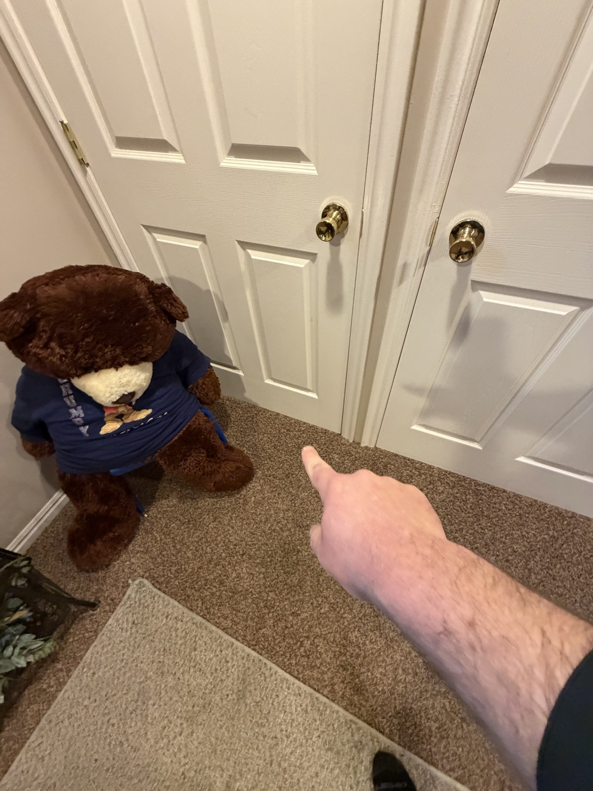1746A46C-0DAB-4575-AC59-E6E3B3EB8C1C.jpg